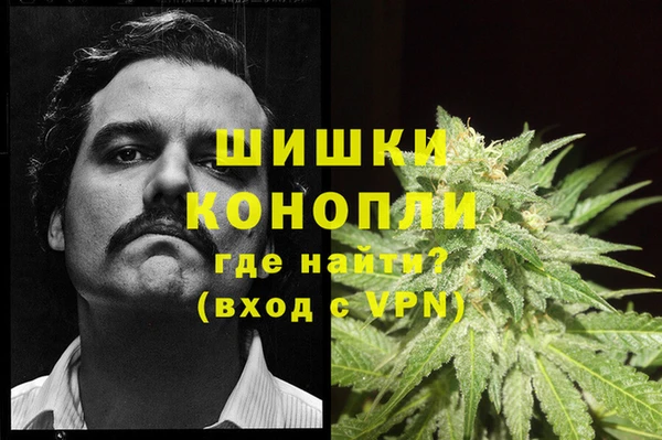 прущая мука Горняк