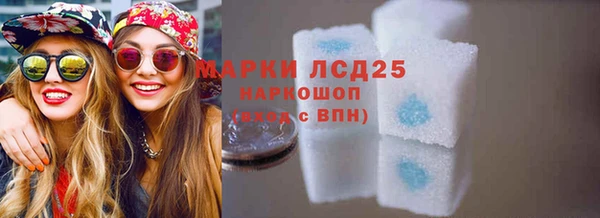 индика Майский