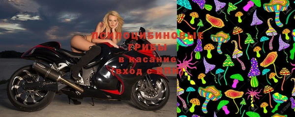 индика Майский
