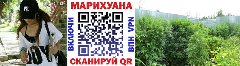 купить наркотик  Первомайск  МАРИХУАНА VHQ 